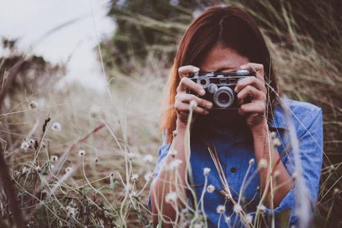 Lens & Landscape